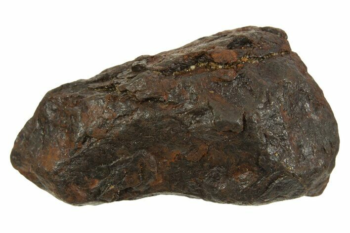 Canyon Diablo Iron Meteorite ( g) - Arizona #335964